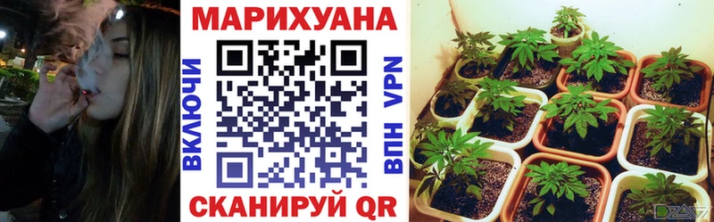 как найти   Волгореченск  Конопля план 